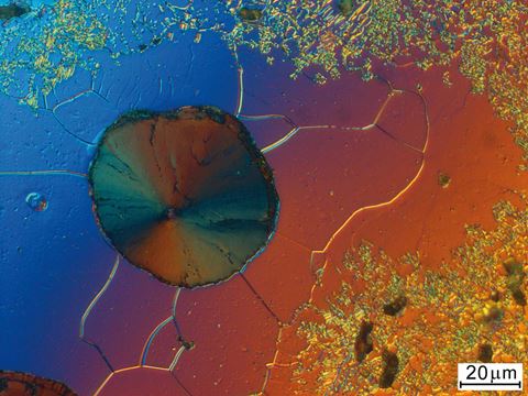 microscope metal